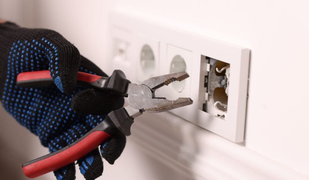 Delibrex logistics 17